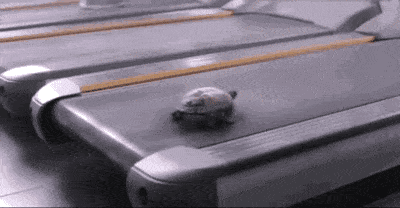 Turtle try to get faster